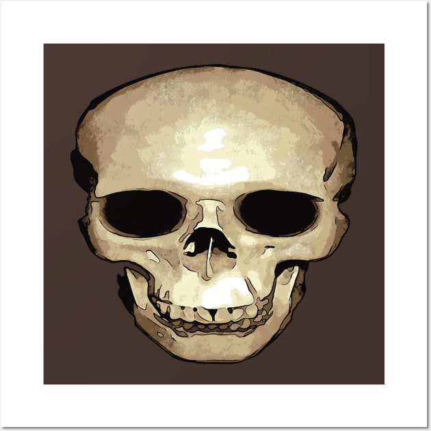 Floating Antique Human Skull Wall Art by taiche